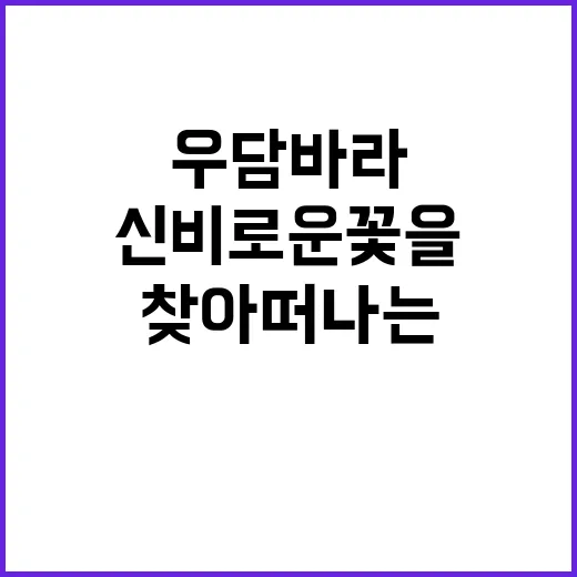 우담바라를 찾아 떠나는 여행: 신비로운 꽃을 만나는 방법