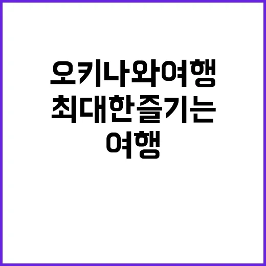 오키나와 여행을 최대한 즐기는 방법