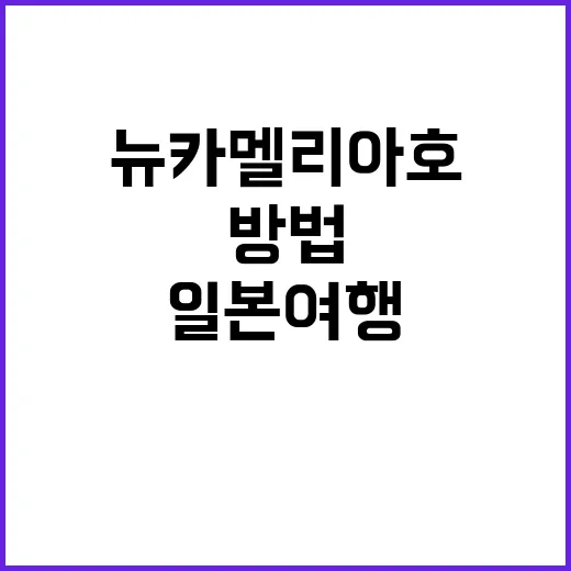 뉴카멜리아호로 일본…