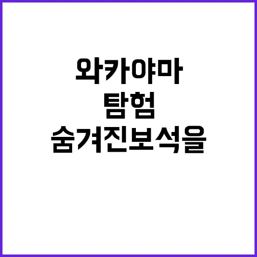 와카야마를 탐험하는 방법: 숨겨진 보석을 발견하려면 이렇게