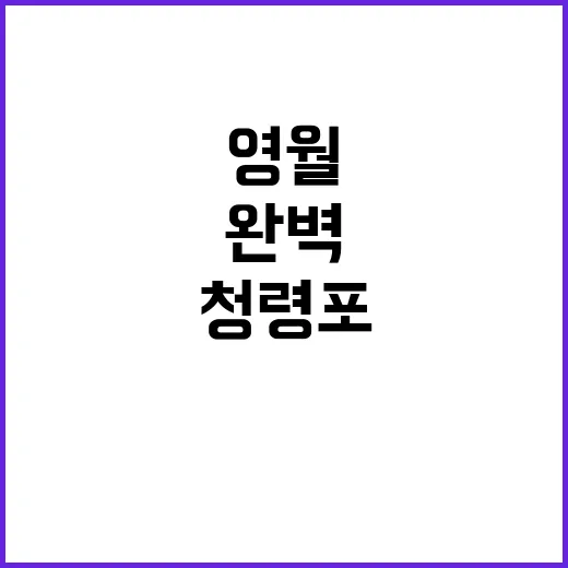 영월 청령포를 완벽하게 탐험하는 방법