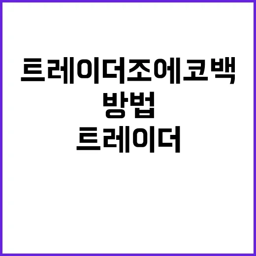 트레이더조 에코백을 활용하는 방법