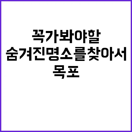 목포에서 꼭 가봐야…