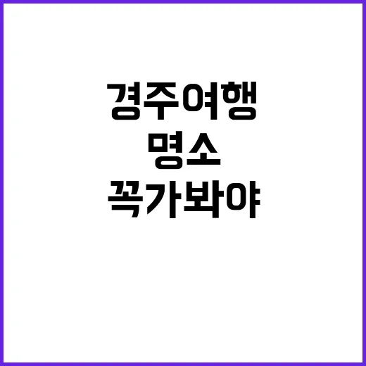 경주 여행에서 꼭 …