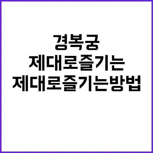 경복궁을 제대로 즐기는 방법