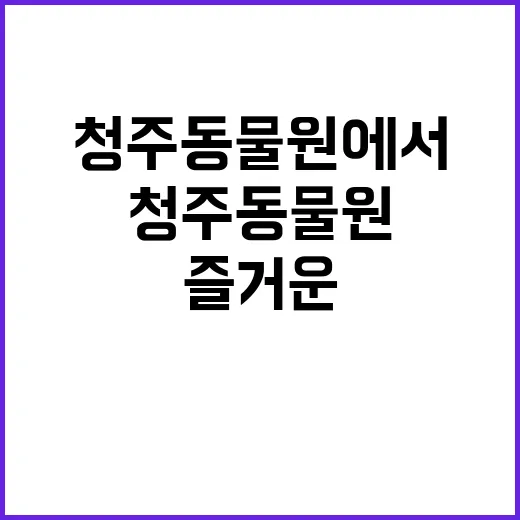 청주동물원에서 즐거운 하루를 보내는 방법