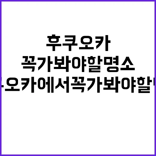 후쿠오카에서 꼭 가봐야 할 명소 탐방 방법