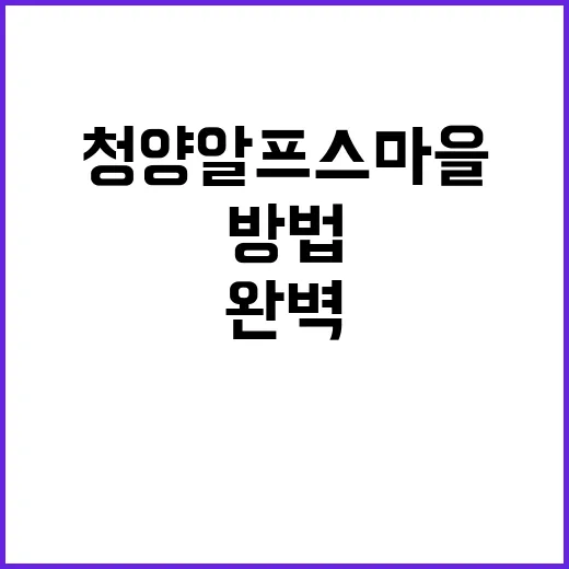 청양 알프스마을에서 완벽한 하루를 보내는 방법