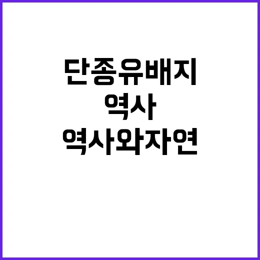 단종 유배지를 방문하는 방법: 역사와 자연을 동시에