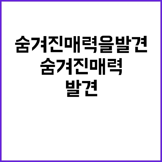 부산당을 경험하는 …