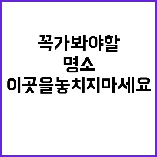 인천에서 꼭 가봐야…