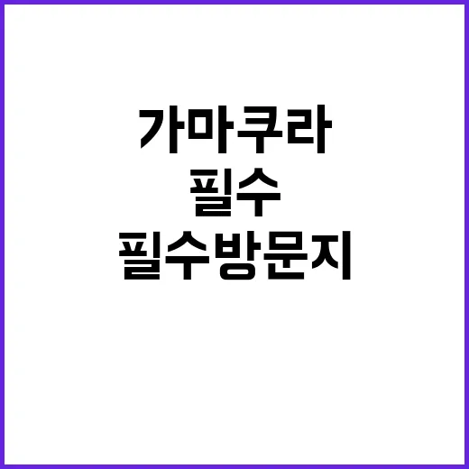 가마쿠라를 탐험하는 방법: 숨은 보석과 필수 방문지