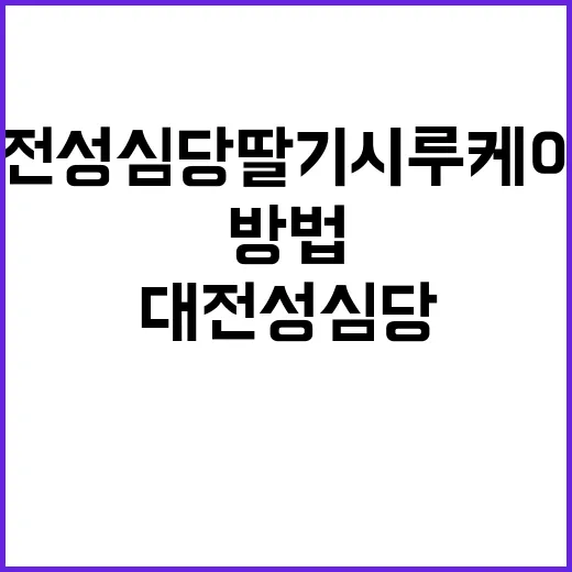 대전 성심당 딸기시루 케이크를 제대로 즐기는 방법