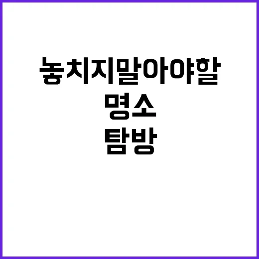 인천에서 놓치지 말…