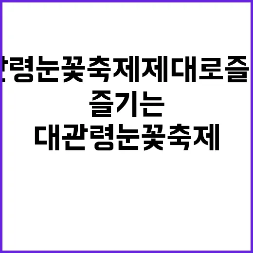 대관령 눈꽃축제 제대로 즐기는 방법