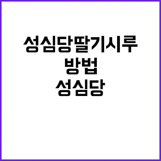 성심당 딸기시루를 …