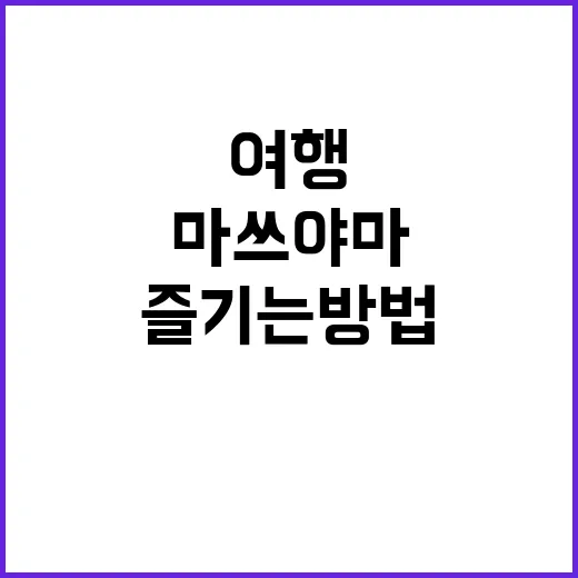 마쓰야마 여행을 최대한 즐기는 방법