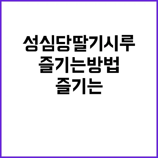 성심당 딸기시루를 제대로 즐기는 방법