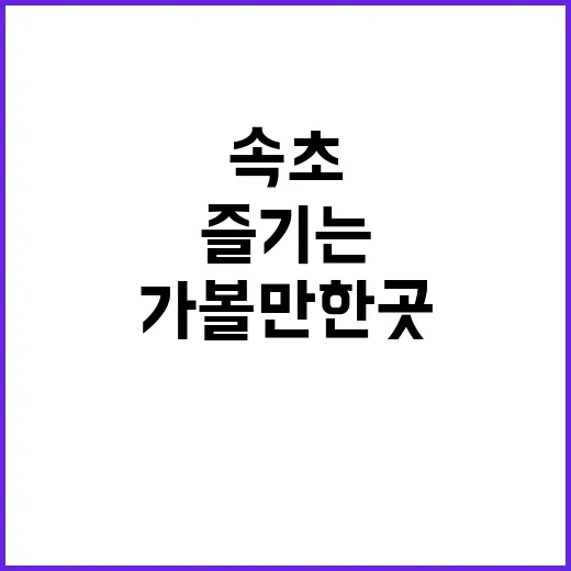 속초 가볼만한 곳을 제대로 즐기는 방법
