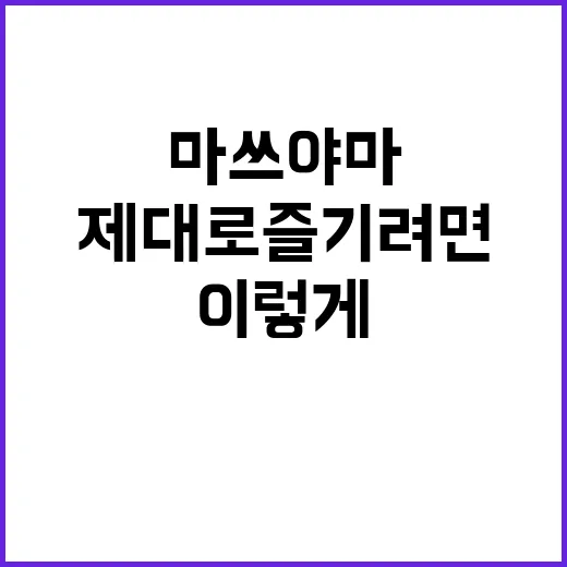 마쓰야마를 제대로 …