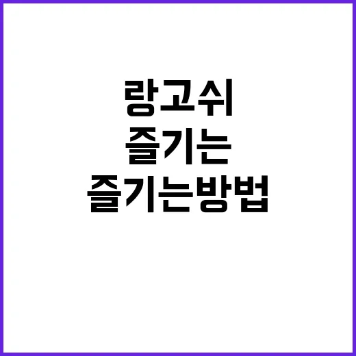랑고쉬를 제대로 즐…