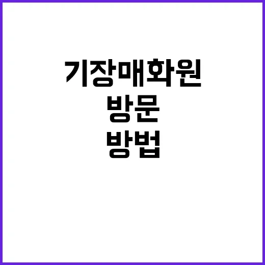 기장 매화원을 방문하는 방법: 자연과의 교감을 느껴보세요