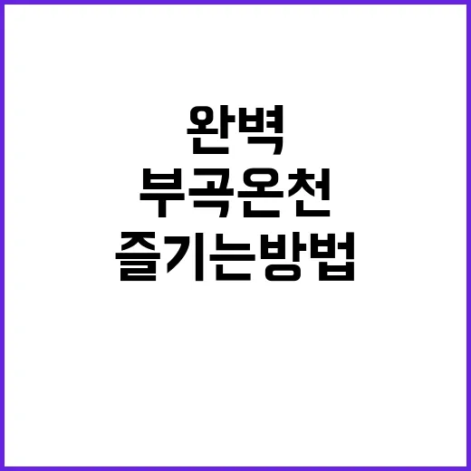 부곡온천을 완벽하게…