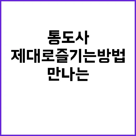 통도사를 제대로 즐기는 방법: 역사와 자연을 만나는 여정