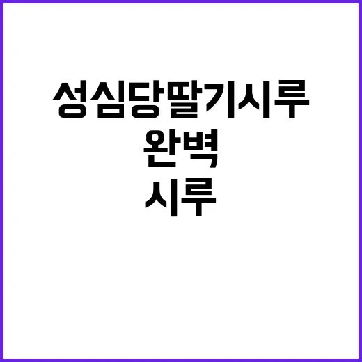 성심당 딸기시루를 경험하는 완벽한 방법