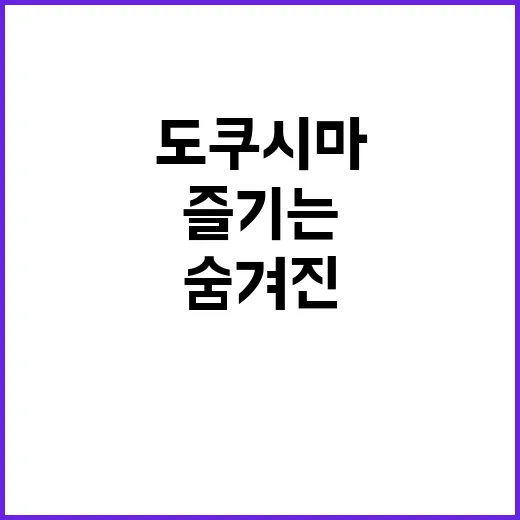 도쿠시마를 완벽히 …
