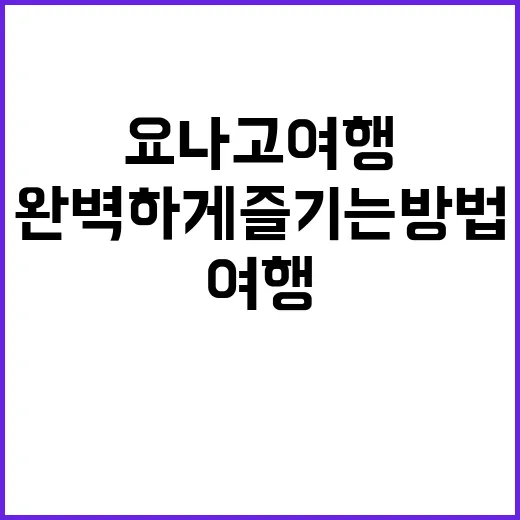 요나고 여행을 완벽…