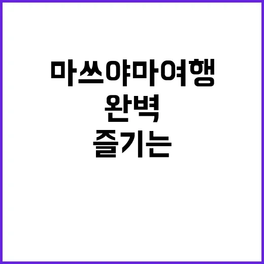 마쓰야마 여행을 완벽하게 즐기는 방법