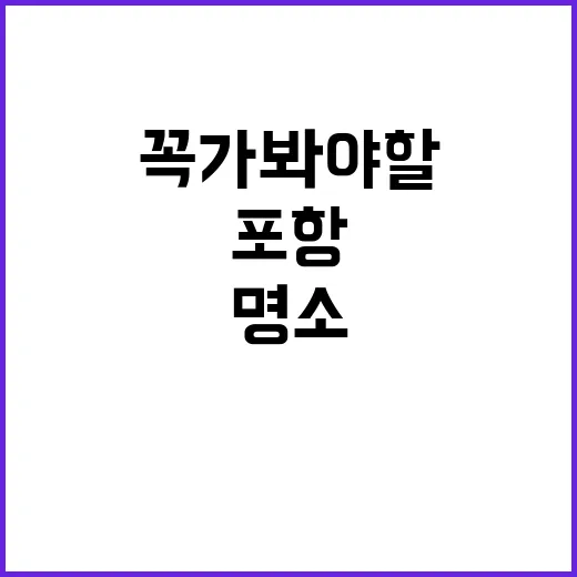 포항에서 꼭 가봐야 할 명소를 찾는 방법