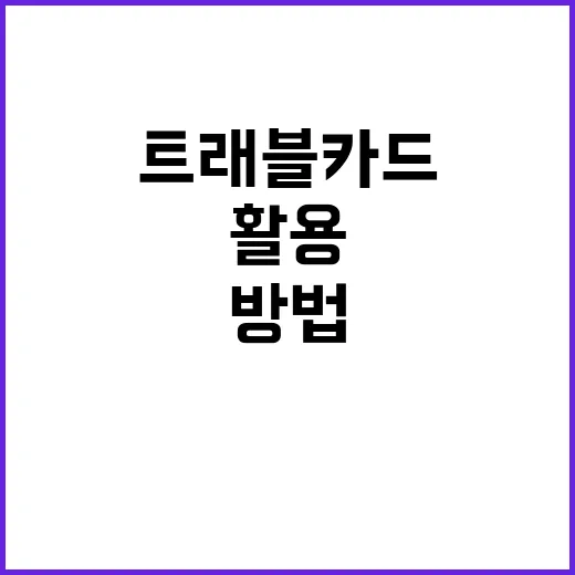 트래블카드를 최대한 활용하는 방법