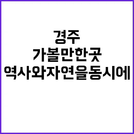 경주 가볼만한 곳: 역사와 자연을 동시에 즐기는 방법