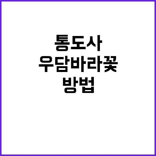 통도사에서 우담바라 꽃을 찾는 방법