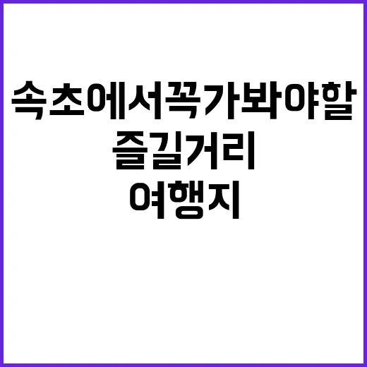 속초에서 꼭 가봐야 할 여행지와 즐길 거리