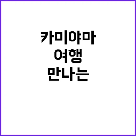 카미야마를 여행하는 방법: 자연과 예술을 만나는 여정