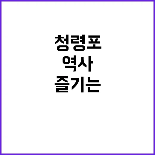 청령포를 완벽히 즐기는 방법: 역사와 자연의 조화 속으로