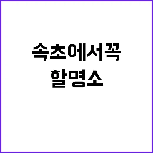 속초에서 꼭 방문해야 할 명소를 발견하는 방법