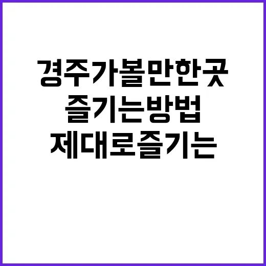 경주 가볼만한 곳을 제대로 즐기는 방법