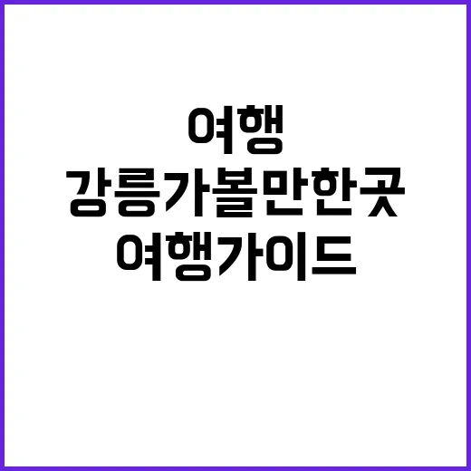 강릉 가볼만한 곳을…