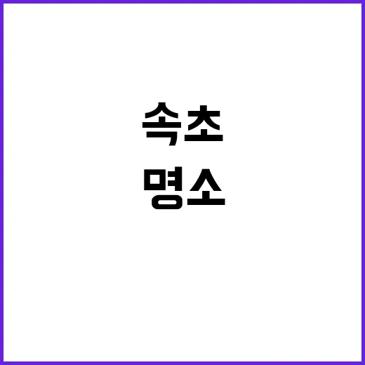 속초에서 꼭 방문해야 할 명소들: 자연과 문화의 조화