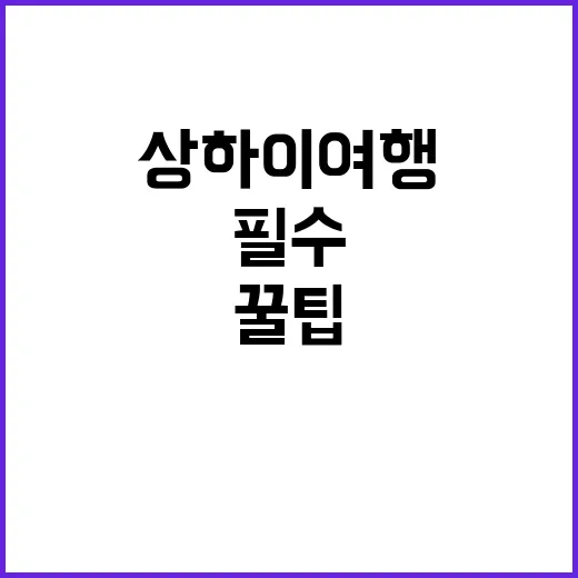 상하이 여행을 완벽히 즐기는 방법: 필수 정보와 꿀팁