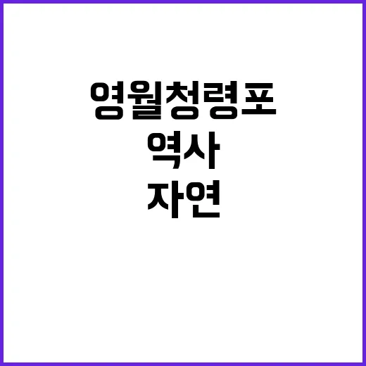 영월 청령포를 탐험…