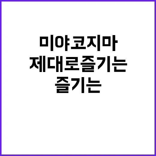 미야코지마를 제대로…
