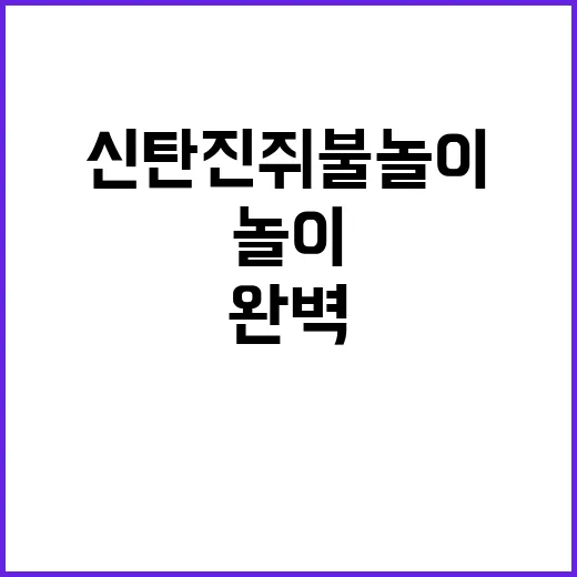 신탄진 쥐불놀이 체험을 위한 완벽 가이드