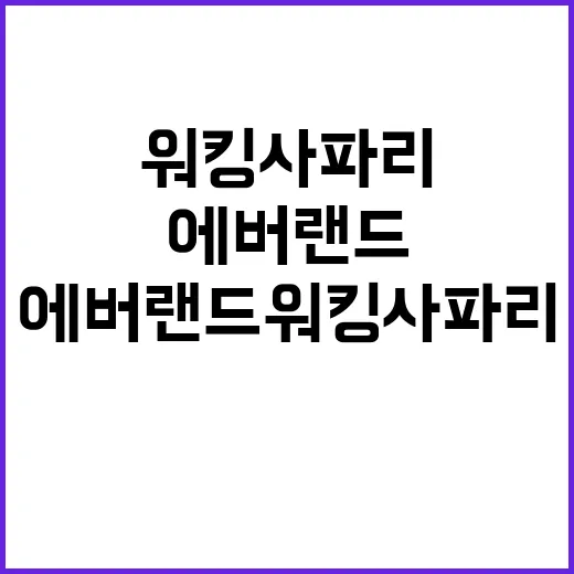 에버랜드 워킹사파리…