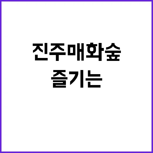 진주 매화숲을 즐기는 방법: 봄을 만끽하려면 이렇게