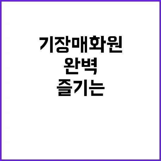 기장 매화원을 완벽하게 즐기는 방법